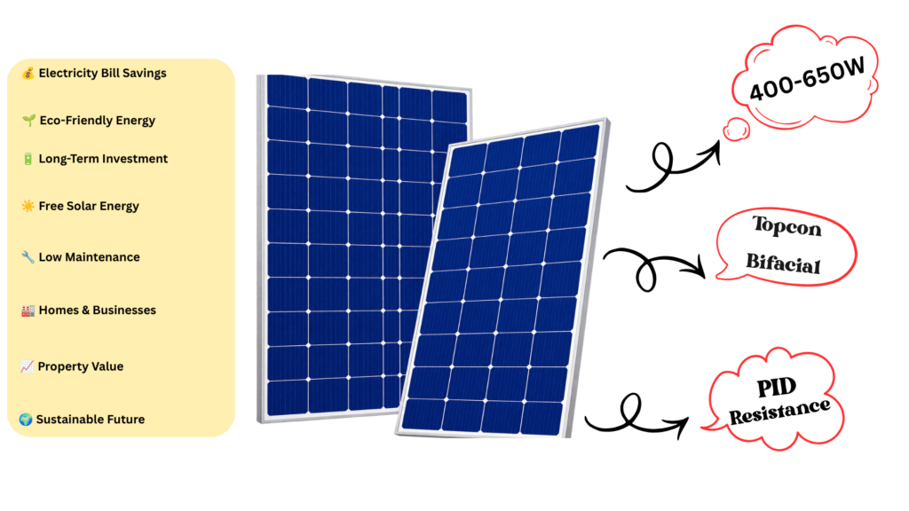 topcon bifacial (2)